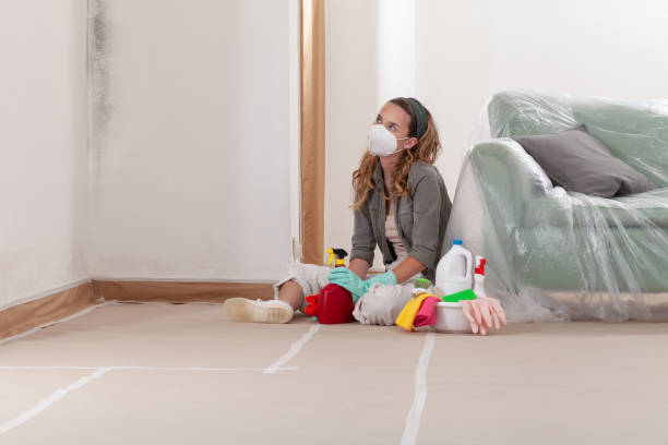 Reliable Mold Cleanup contractor in Ridgefield, WA by Cheap Mold Removal